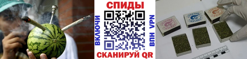 Бутират буратино  Томмот 