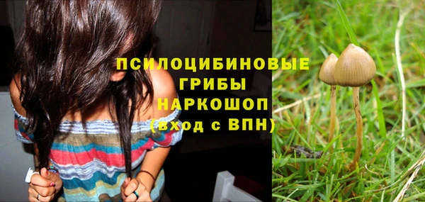 соль курить ск Касимов