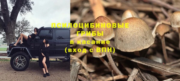 мескалин Карпинск