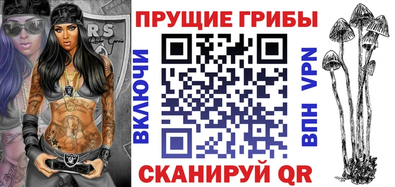 Псилоцибиновые грибы мицелий  закладки  Томмот 